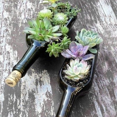 43 Outstanding Succulent Gardens You Can Create at Home ...
